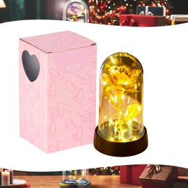 Valentines Day Gifts Galaxy Rose for Her,Light Up Rose Flower Gift Birthday Gifts for Women Mom Girlfriend Wife,Forever Glitter Rose In A Plastic Dome Eternal Rose for Valentines/Mothers Day Christmas