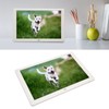 Digital Photo Frame Multifunction 10.1inch IPS HD Screen Support Slide