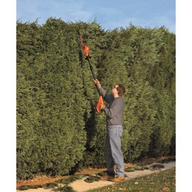 BLACK+DECKER 20V MAX Cordless Pole Hedge Trimmer, 18-Inch (LPHT120)