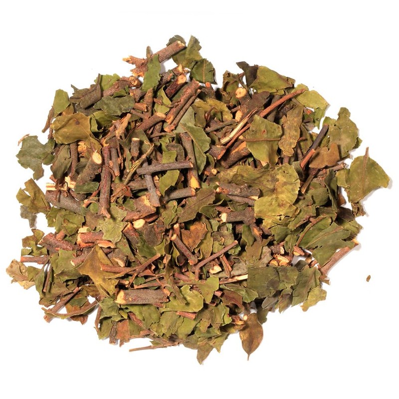 EidolonGreen [China Medicinal Herb] Dried Chinese Mistletoe (Taxillus chinensis/Sang ji
