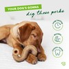 Benebone Tripe Bone Durable Dog Chew Toy for Aggressive Chewers,