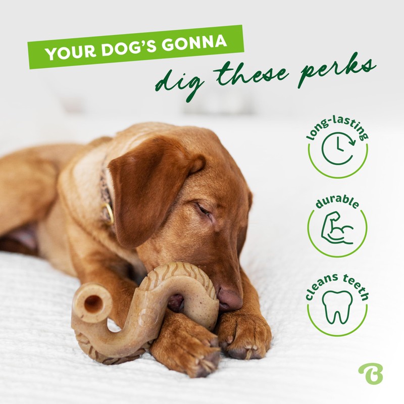 Benebone Tripe Bone Durable Dog Chew Toy for Aggressive Chewers,