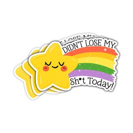 (3Pcs) Didn't Lose My Sh*t Today Sticker, Funny Star Bumper Sticker, Gold Star Sticker, Rainbow Vinyl Sticker, Inspirational Quote Decal Waterproof - Sticker for Laptop Water Bottle Phone Hard Hat 3"