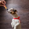 Fancy Pets Yummy Premios para Perro Sabores Surtidos Carne, Pollo,