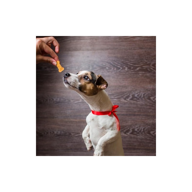 Fancy Pets Yummy Premios para Perro Sabores Surtidos Carne, Pollo,