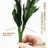 Extreme Sakaki SV Camellia Leaf Extra Thick Type S Size