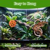 NZELSW Snake Enrichment Toys & Reptile Hammock, Snake Ball Toys