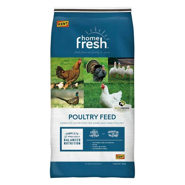 HOME FRESH Replacement Chicken Feed | Complete Nutrition for Pullets,