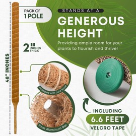 Auraville Moss Pole Monstera Plant Support | 48 Inch Plant Stakes for Indoor Plants | Coconut Palm Fiber Moss Poles for Climbing Plants | Handmade Plant Sticks Support Tall Monstera, Pothos & More