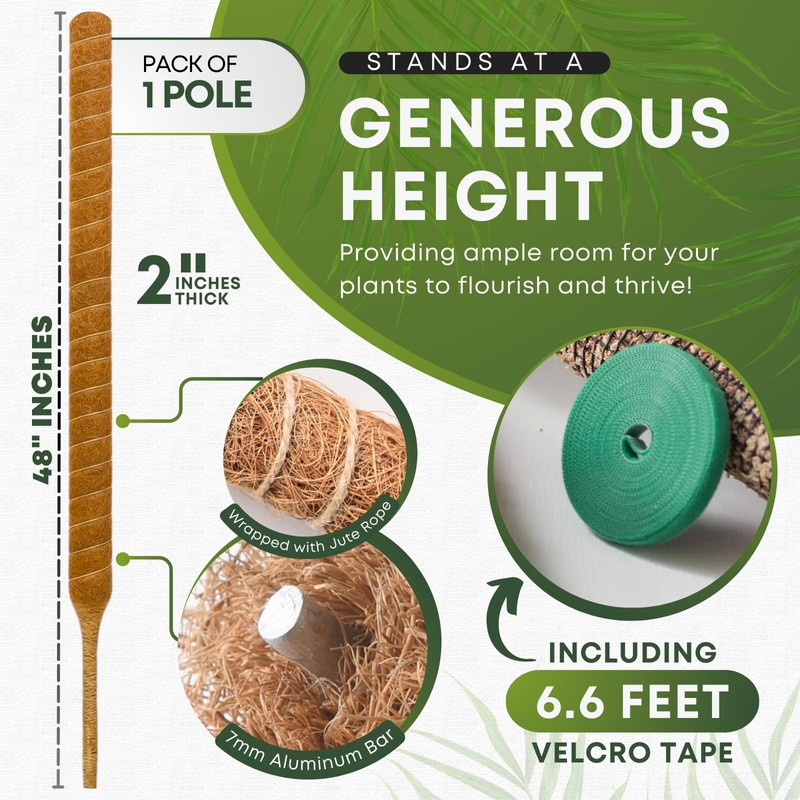 Auraville Moss Pole Monstera Plant Support | 48 Inch Plant