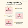 Esencia Cosrx Caracol 96 Mucin Coreana 100ml