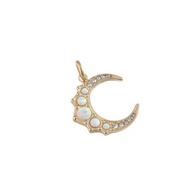 Alex and Ani Interchangeable Opal Moon Charm​