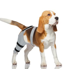 Joypig Dog Sleeve to Stop Licking, Dog Wound Recovery Cover for ACL Surgery (Right, M)