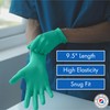 Criterion Chloroprene Exam Gloves, Large, Green, 100/Box – Non-Sterile, Latex-Free,