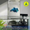 Inverted Betta Tank Holder Kit, 360-Degree Panoramic View for Betta