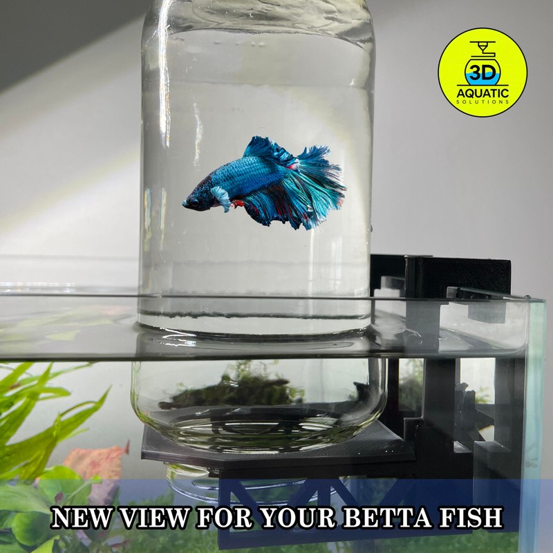 Inverted Betta Tank Holder Kit, 360-Degree Panoramic View for Betta