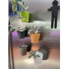 Magnetic Planter Pots, Set of 5, Mini Planter Pots, Indoor