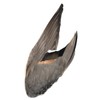 Complete Duck Wings per Pair (#1 Grade Pintail Wings)