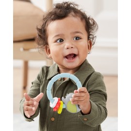 Skip Hop Silver Lining Cloud Teethe and Play Toy Bird