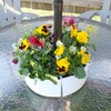 AuldHome Umbrella Planter for Patio Table with Umbrella Hole (White),