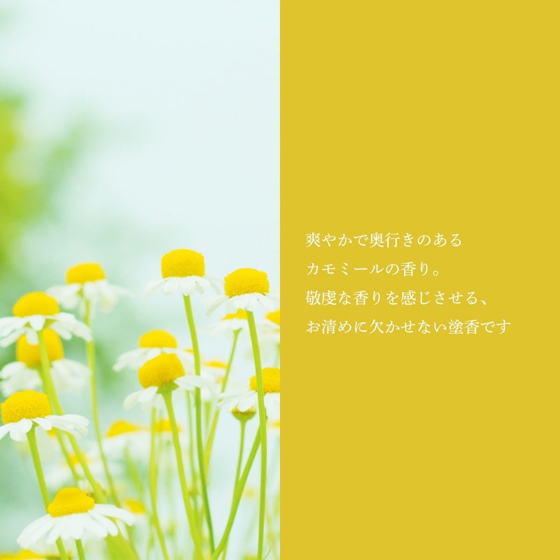 Made in Japan, Special Coating, Chamomile, 0.2 oz (5 g),