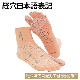 UPstore Reflection Area, Acupuncture Poles, 3D Illustration, Japanese Notation, Left and Right Set, Foot Massage, Foot Massage, Leg Reflation