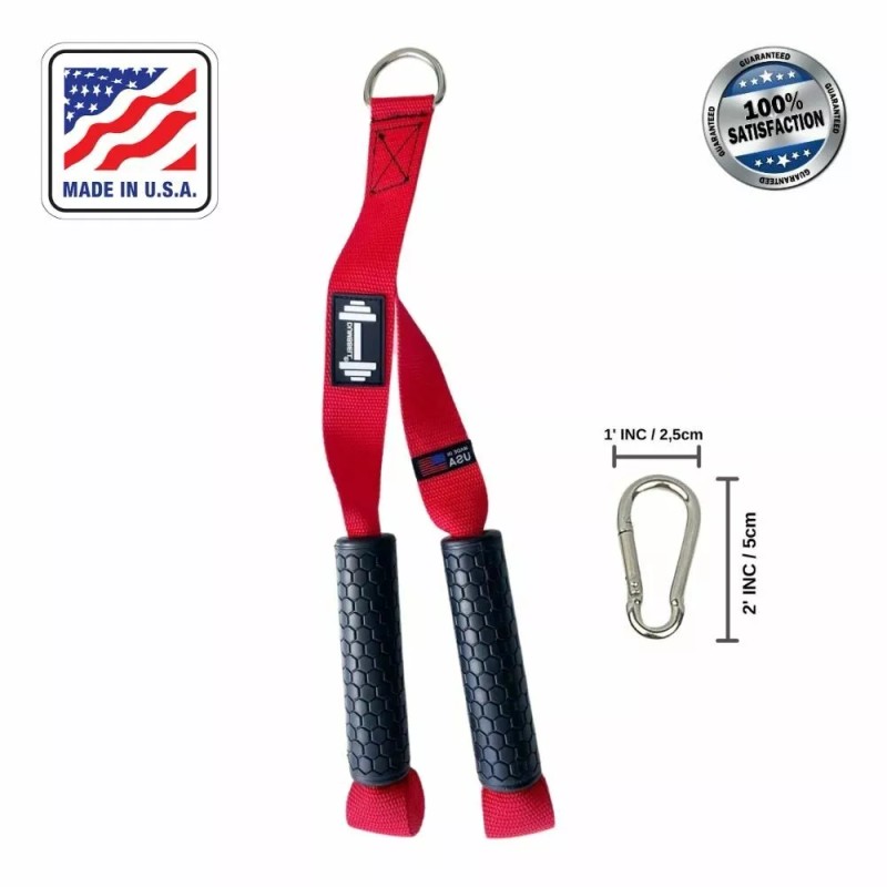 DUMBBELL Triceps Exercises Pilates Biceps Squat Abs Workout Lat Pulldown