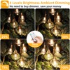 Mlambert 96Ft(2x48ft) 3-Color in 1 48Ft LED Dimmable Outdoor String