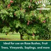 Treekote Grafting Kit - Includes Pruning Knife, 4oz Grafting Wax,