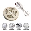RUICHEN Silver Wire 33 Ft 100 LED USB Fairy String