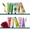 Nature Republic [네이처리퍼블릭][유수분 맞춤 데일리 핸드케어] 1+1 핸드 앤 네이처