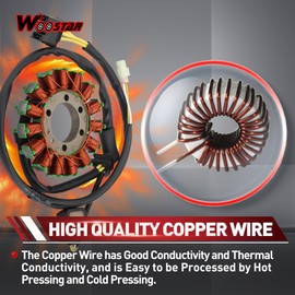 WOOSTAR 2 Coil 2 Wire Magneto Stator Replacement for Suzuki LT80 LT 80 Quadsport 80 1987-2006 KFX 80 2003-2006 OEM 21003-S005