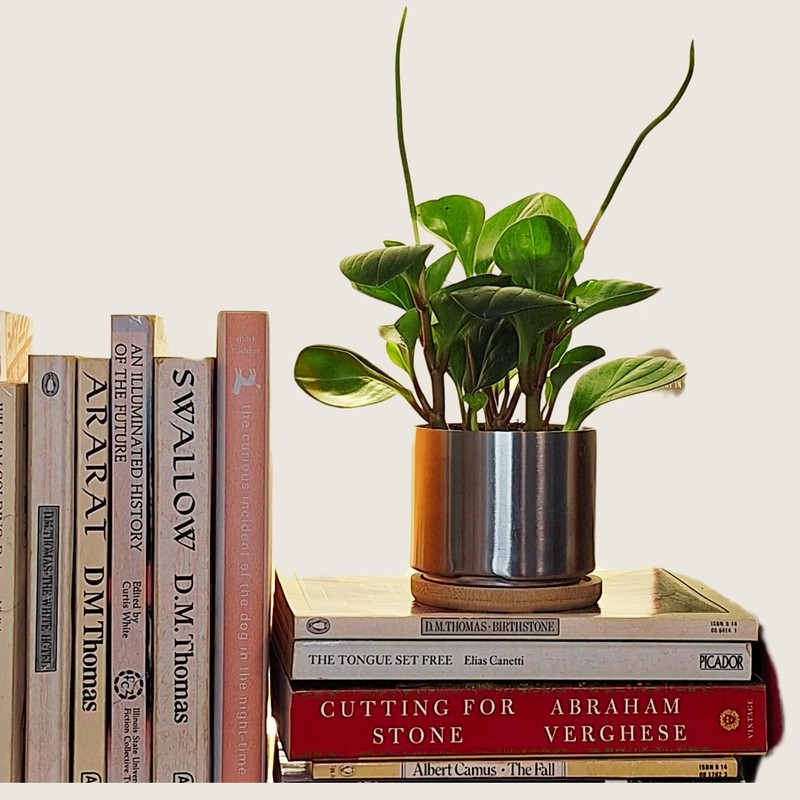 THE SIMPLE SMART COMPANY 304 Mini Accent Planter (2 Pack)