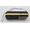 Gtek Hindu Religious Bhajans Radio Player (List Included in The