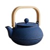 SECHUDO 30.4oz Small Tea Kettle, Blue Cast Iron Teapot with