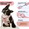 Dog Harness and Leash Set, XXS No Pull Adjustable Puppy