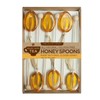 Melville Candy Company Honey Clover Spoons Gift Sets, 2.4 Ounce