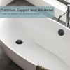 Tip-Toe Bathtub Drain Kit with Two-Hole Overflow Plate, Bath Tub