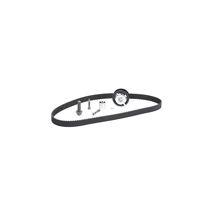 INA 530 0085 10 Timing Belt Kit