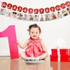 Farm Animal Theme Photo Banner 1st Birthday Monthly Banner Newborn