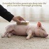 2 PCS Pig Toy, Pig Self-Grooming Scratch Brush with Hanging
