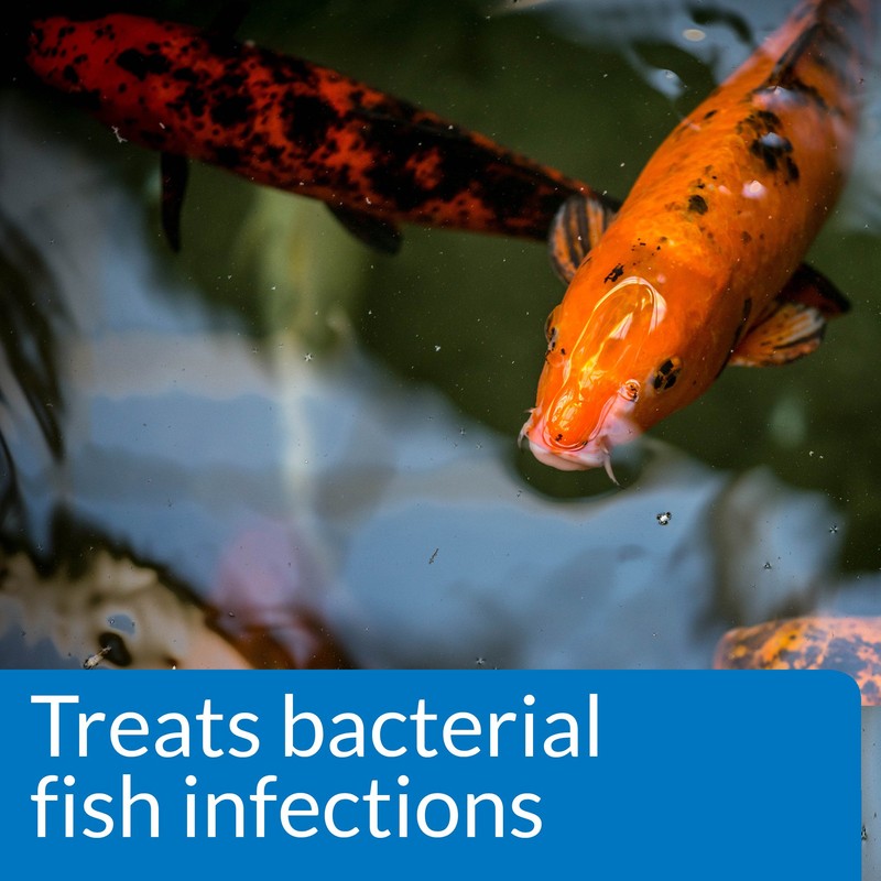 API POND MELAFIX Pond Fish Bacterial Infection Remedy, Safe For