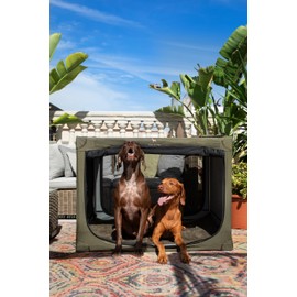 Noah & Paw Collapsible Dog Crate 42 Inch, XXL Dog Crate for XXL, XL, Large Breeds, Travel Kennel for Car, Includes Pet Mat for Pet Cage, 2 Storage Pockets, Handbag, 10mm Locking Zippers 42 * 31 * 31