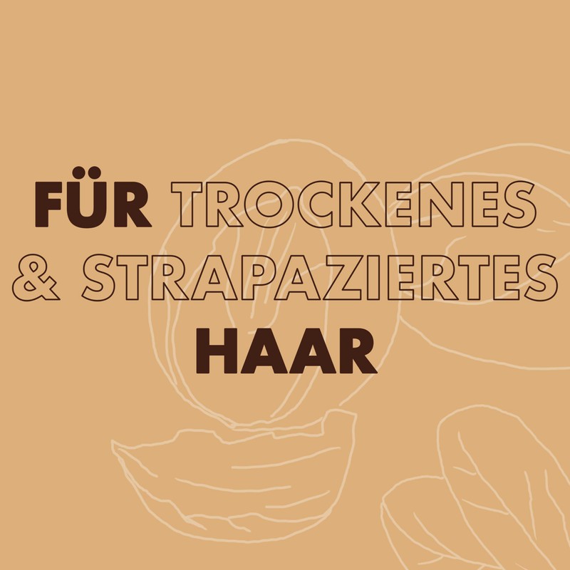 SheaMoisture Deep Treatment Masque for Damaged Hair Pure Shea Butter