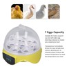 7 Eggs Incubator Easy Temperature Control Mini Egg Incubator for