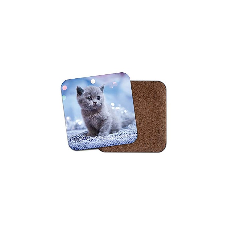 1 x Adorable Blue Kitten Coaster - British Shorthair Cat