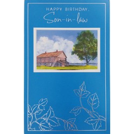 Happy Birthday Son-in-Law Greeting Card -"Wishing you many joys to discover, special memories to treasure, and new dreams to look forward to"