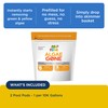 FROG Algae Gone - Dry Formula Algaecide Removes Green and