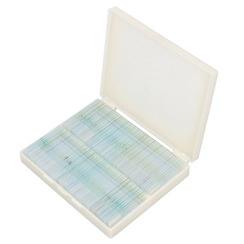 100pcs Microscope Slides Rounded Edge Plants Blank Microscope Slides for