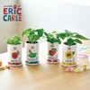 Seishin Ceramics HP-0203 Harapeko Aomushi Nakayoshi Cultivation Set, Wild Strawberry,